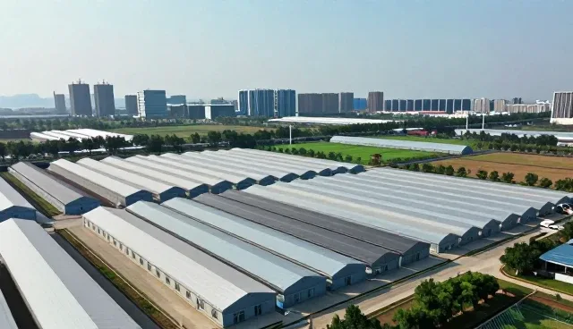 技术驱动下的应用开发如何优化实际业务场景