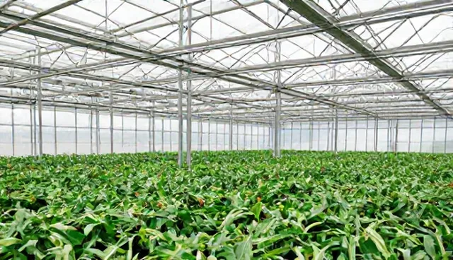 应用开发中的适配方案选型与维护建议